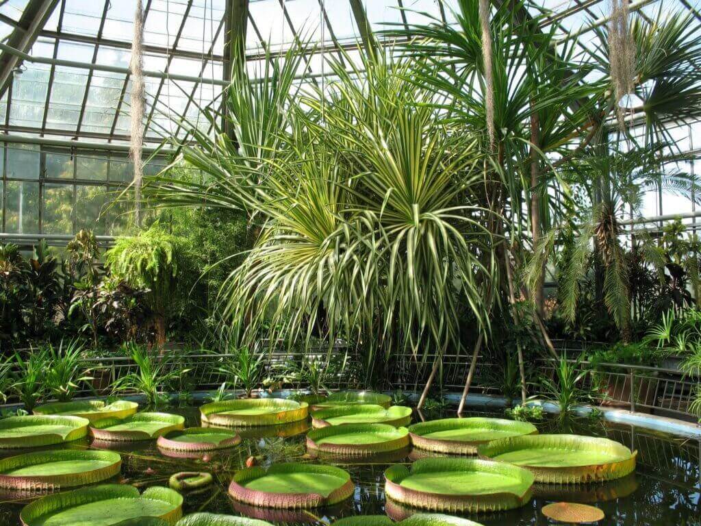 ședință foto nuntă în Grădina Botanică București